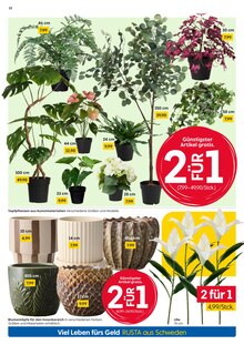 Blumentopf im aktuellen Rusta Prospekt (Essen) Blumentopf im Rusta Prospekt "Willkommen zu Hause in Schweden!" mit 16 Seiten (Essen)