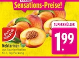 Nektarinen im EDEKA Prospekt Nektarinen von Gut & Günstig im aktuellen EDEKA Prospekt für 1,99 €