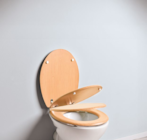 WC Sitz im aktuellen Netto mit dem Scottie Prospekt