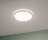 Plafonnier de salle de bain blanc lano - INSPIRE en promo chez Weldom Plafonnier de salle de bain blanc lano - INSPIRE dans le catalogue Weldom
