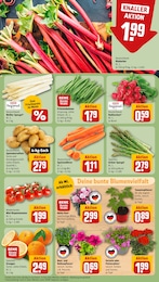 Spargel Angebot im aktuellen REWE Prospekt auf Seite 7