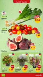 Aktueller Penny Prospekt mit Tomaten, "Wer günstig will, muss Penny.", Seite 5