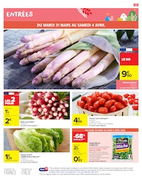 Prix et réduction Mâche dans le prospectus Carrefour Market en cours Offre Mâche dans le catalogue Carrefour Market du moment à la page 9