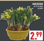 Aktuelles Narzissen Angebot bei Marktkauf in Hagen (Stadt der FernUniversität) ab 2,99 €