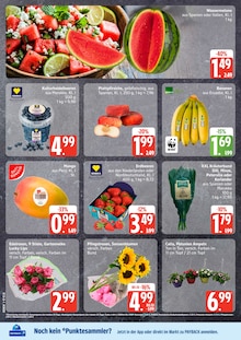 Bananen im aktuellen EDEKA Prospekt (Kiel) Bananen im EDEKA Prospekt "Top Angebote" mit 13 Seiten (Kiel)
