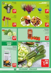 Garten im Marktkauf Prospekt in Hof Aktueller Marktkauf Prospekt mit Garten, "AUSWAHL RIESIG, PREISE NIEDRIG", Seite 11