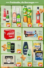 REWE Haushalt im Prospekt REWE Haushalt im Prospekt