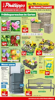 Blumenerde im Thomas Philipps Prospekt "Top Angebote" mit 22 Seiten (Rostock)