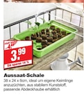 Aussaat-Schale bei bauSpezi im Neunkirchen Prospekt für 3,99 €