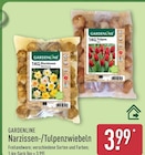 Narzissenzwiebeln von Gardenline für 3,99 € bei ALDI Nord im Angebot Narzissenzwiebeln von Gardenline im aktuellen ALDI Nord Prospekt
