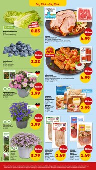 Blumen im Penny Prospekt "Wer günstig will, muss Penny." mit 38 Seiten (Nürnberg)