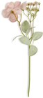 JYSK Kunstblume GESTUR H34cm beige im Angebot bei JYSK in Wetzlar JYSK Kunstblume GESTUR H34cm beige Angebote von JYSK bei JYSK Wetzlar für 0,75 €