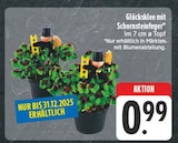 Glücksklee mit Schornsteinfeger bei nah und gut im Kubschütz Prospekt für 0,99 €