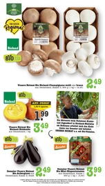 Champignons im E center Prospekt in Heidelberg Aktueller E center Prospekt mit Champignons, "Aktuelle Angebote", Seite 21