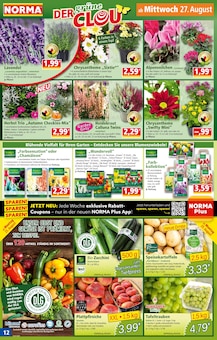 Volvic Angebot im aktuellen Norma Prospekt auf Seite 12