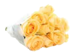 Zierkürbisse oder Rosen für 3,99 € bei EDEKA im Angebot Zierkürbisse oder Rosen im aktuellen EDEKA Prospekt