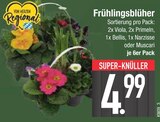 Aktuelle Pflanzen Angebote bei E center in Augsburg Aktuelles Frühlingsblüher Angebot bei E center in Augsburg ab 4,99 €