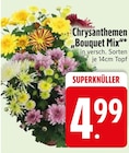 Chrysanthemen Bouquet Mix im aktuellen EDEKA Prospekt für 4,99 €