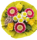 Kaufland Wülfrath Prospekt mit  im Angebot für 8,99 €