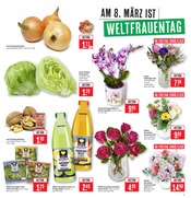 Aktueller Marktkauf Prospekt mit Zimmerpflanzen, "Aktuelle Angebote", Seite 3