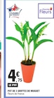 Pot de 3 griffes de muguet - E.Leclerc à Strasbourg Pot de 3 griffes de muguet en promo chez E.Leclerc Strasbourg à 4,75 €