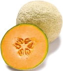 Cantaloupe-Melone bei Netto mit dem Scottie im Brieselang Prospekt für 1,39 €