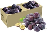 Aktuelle Obst Angebote bei REWE in Frankfurt (Main) Aktuelles Zwetschgen Angebot bei REWE in Frankfurt (Main) ab 3,33 €
