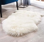 Schaffell Angebote bei Globus-Baumarkt Frechen für 37,99 €