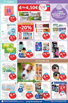 Katzenfutter im budni Prospekt "drogeriemarkt" mit 8 Seiten (Berlin)