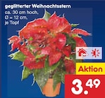 Aktuelles geglitterter Weihnachtsstern Angebot bei Netto Marken-Discount in Potsdam ab 3,49 €