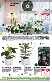 Deko Weihnachtsstern im Dehner Garten-Center Prospekt in Esslingen Aktueller Dehner Garten-Center Prospekt mit Deko Weihnachtsstern, "Es wird gemütlich!", Seite 8