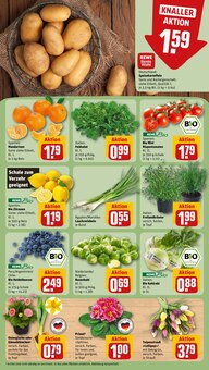 Kartoffeln im REWE Prospekt "Dein Markt" mit 18 Seiten (Mainz)