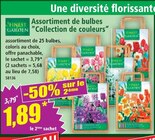 Promo Assortiment de bulbes "Collection de couleurs" à 1,89 € dans le catalogue Norma à Valentigney