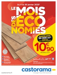Castorama Catalogue "Le mois des économies", 24 pages, Saint-Cloud,  04/01/2023 - 30/01/2023
