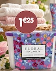 Déshumidificateur - Floral dans le catalogue B&M
