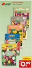 Blumenzwiebel im Angebot bei Netto Marken-Discount in Warendorf Blumenzwiebel Angebote bei Netto Marken-Discount Warendorf für 0,99 €