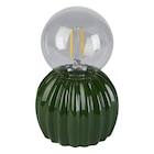 Lampe LED cactos vert H.15cm dans le catalogue Maxi Bazar