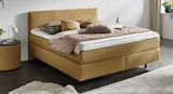 Opti-Wohnwelt Würzburg - Boxspringbett Angebot im Prospekt Boxspringbett bei Opti-Wohnwelt im Würzburg Prospekt für 1.849,00 €