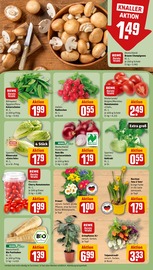 Ähnliche Angebote wie Regentonne im Prospekt "Dein Markt" auf Seite 7 von REWE in Fulda