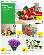 Plantes Angebote im Prospekt "Carrefour" von Carrefour auf Seite 18