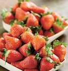 Fraise ronde - Intermarché à Reims Fraise ronde en promo chez Intermarché Reims à 3,98 €