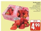 Erdbeeren bei nah und gut im Hohburg Prospekt für 4,99 €