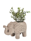 Pflanztopf „Elefant“ von  im aktuellen Woolworth Prospekt für 10,00 €
