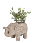 Pflanztopf „Elefant“ im Woolworth Prospekt Pflanztopf „Elefant“ von im aktuellen Woolworth Prospekt für 10,00 €