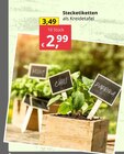 Stecketiketten bei Bauzentrum Reinholdshain im Dippoldiswalde Prospekt für 2,99 €