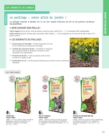 Promotion Plantes dans le prospectus E.Leclerc, valable du 18/02/2025 au 31/12/2025 Promo Plantes dans le catalogue E.Leclerc du moment à la page 41