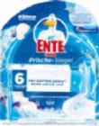 Frischesiegel im Angebot bei Netto Marken-Discount in Gelsenkirchen Frischesiegel Angebote von WC-Ente bei Netto Marken-Discount Gelsenkirchen für 1,99 €