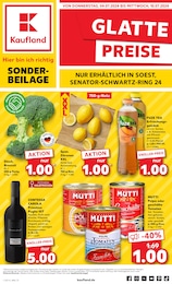 Aktueller Kaufland Supermärkte Prospekt für Werl: Aktuelle Angebote mit 8} Seiten, 04.07.2024 - 10.07.2024