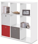Regal Max Angebote bei Die Möbelfundgrube Saarbrücken für 74,99 €