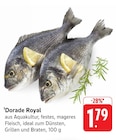Aktuelles Dorade Royal Angebot bei EDEKA in Frankfurt (Main) ab 1,79 €
